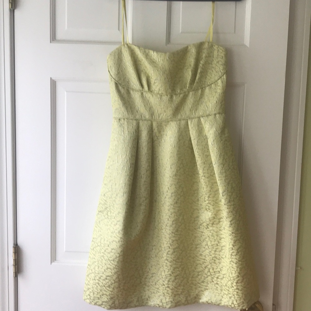 BCBG Dress